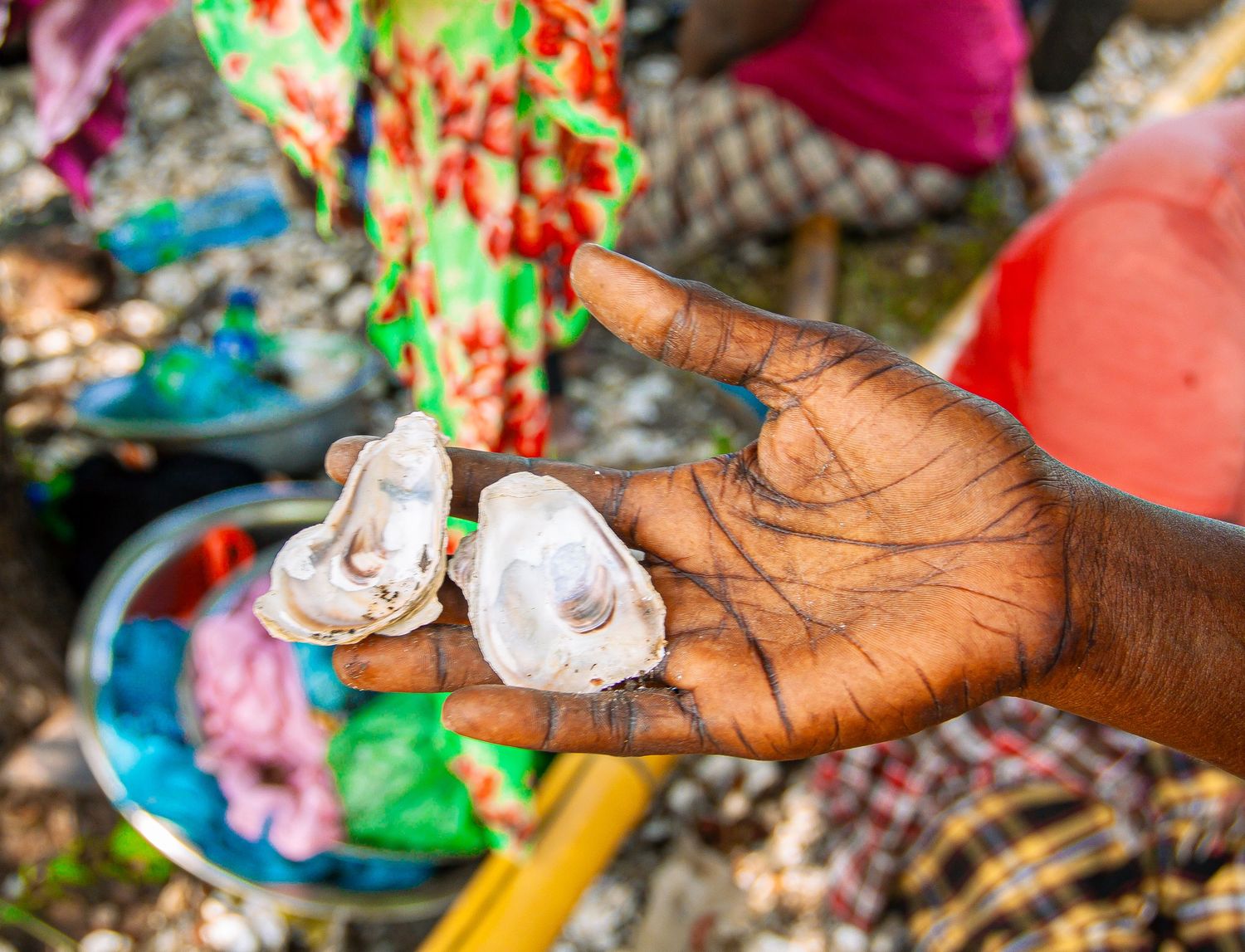 Close-up of a hand holding two open oyster shells with pearls on a market.