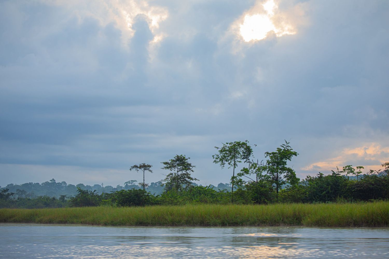 Serene African river landscape at sunset with tall trees and dramatic cloudy sky.