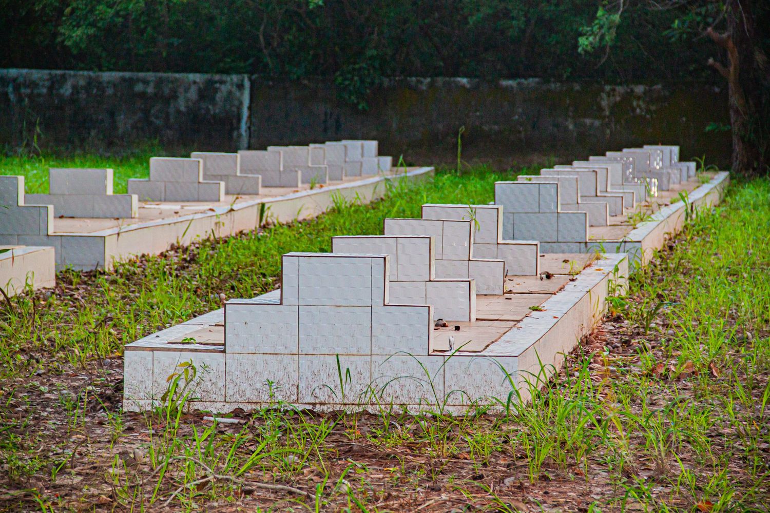 Rows of white concrete grave markers overgrown with grass in a tropical cemetery.