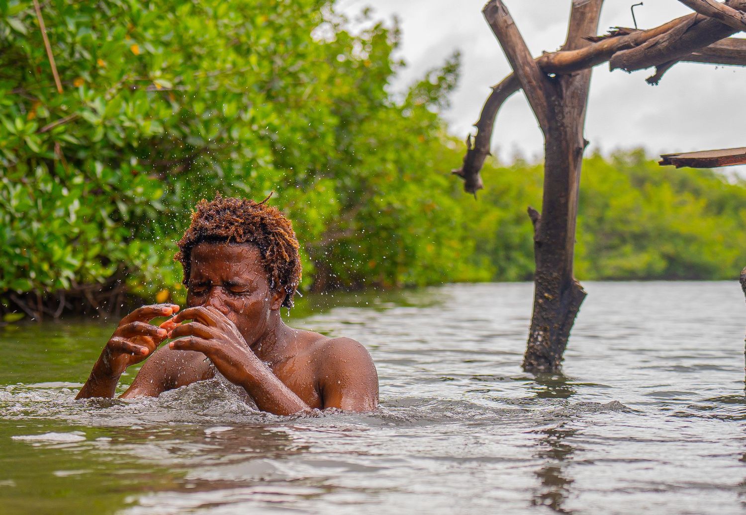 Young man wading in mangrove waters holding small object near wooden structure.