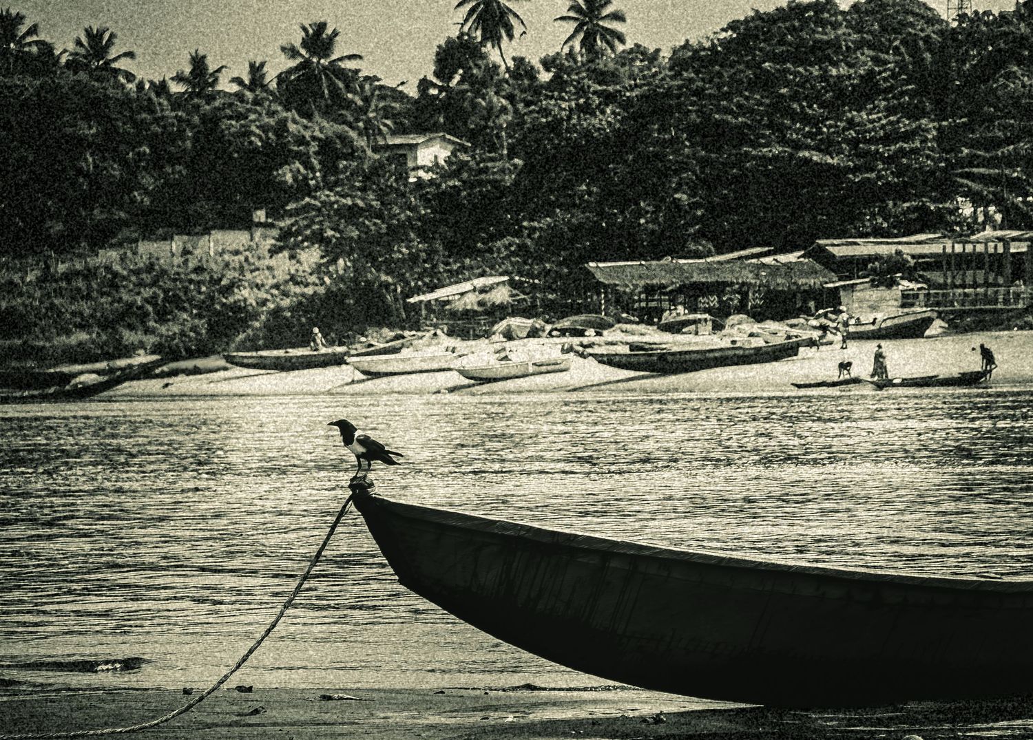 Black and white photo of a wooden boat moored on a calm tropical shoreline with palm trees and buildings in background.