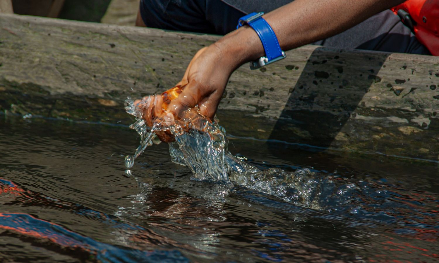 Hand splashing water while holding food over a wooden trough in an outdoor animal feeding area.