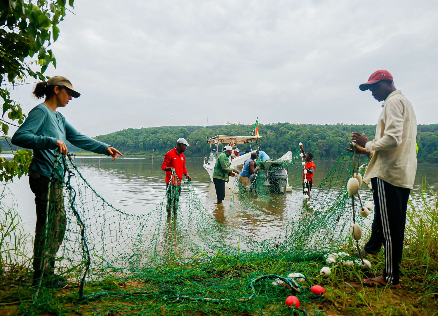 Team of scientists and local fishermen pull a large net from a calm river during field research.