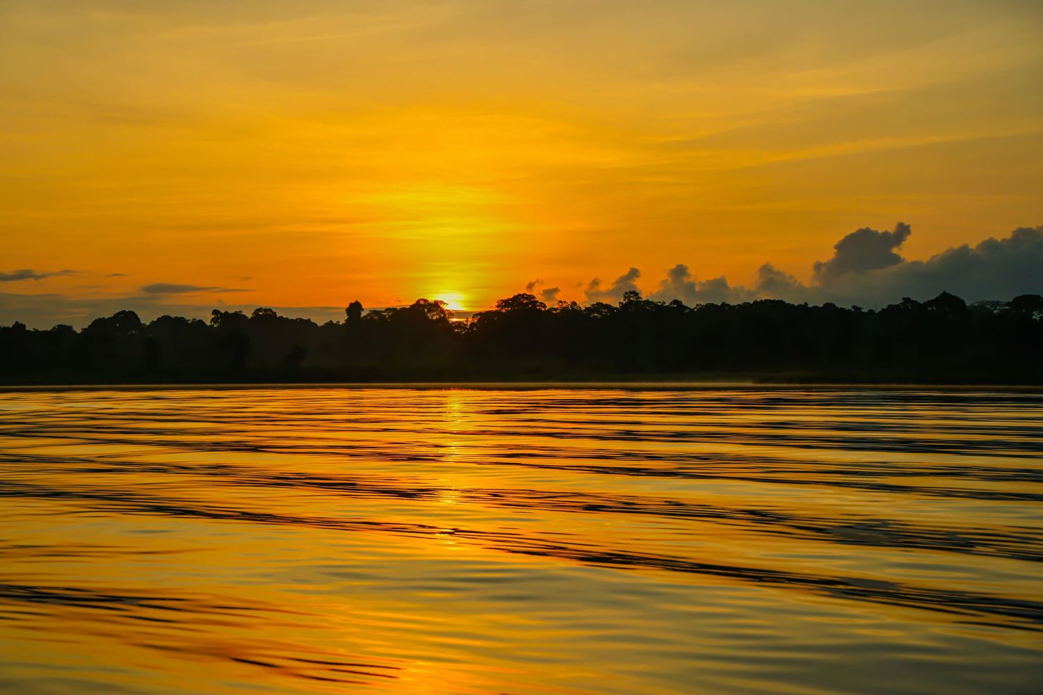 Vivid orange sunset reflecting on a wide tropical river surrounded by dense jungle tree line.