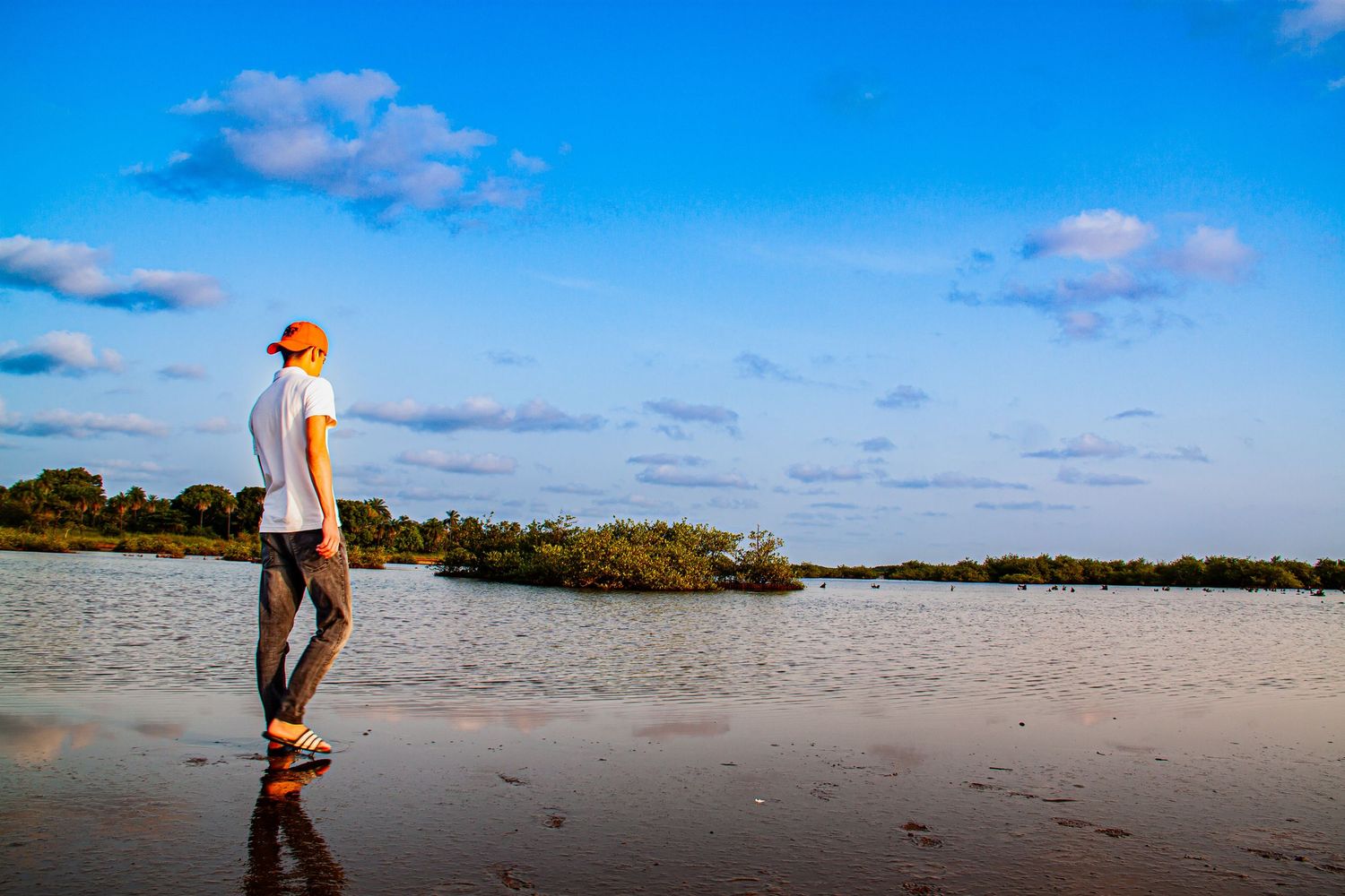 Woman walking along a reflective shoreline under a blue sky with mangroves beyond.