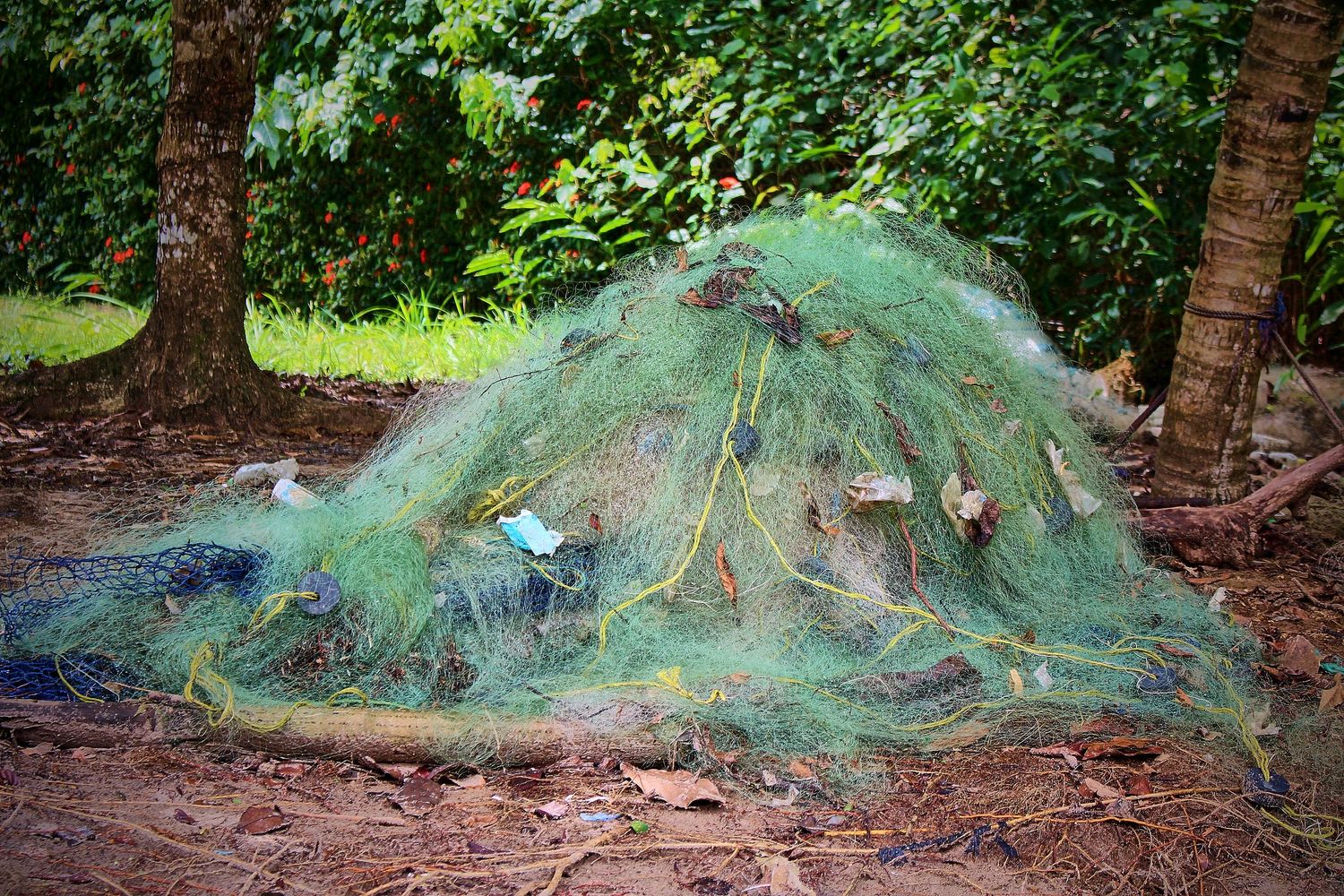 A large pile of green fishing nets sits on the ground beneath tropical trees in a rural area.