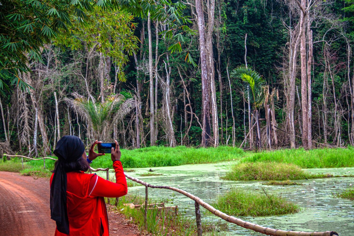 Woman in red jacket photographing a lush tropical forest and green algae-covered pond in the Amazon rainforest.