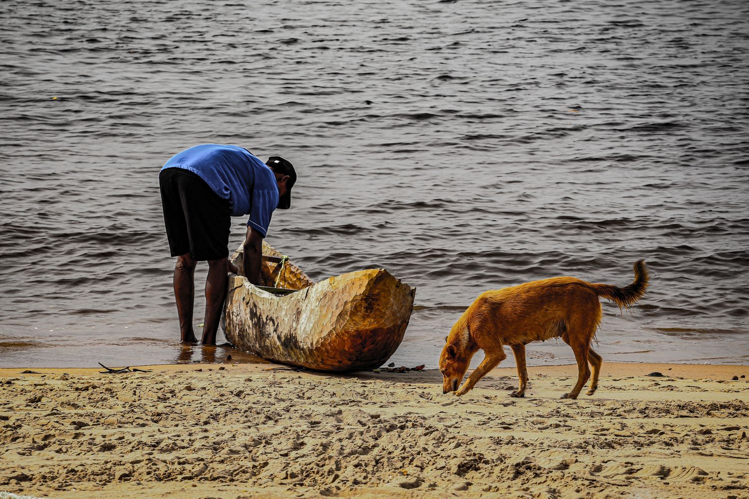 A man and a brown dog examine a large log on a sandy riverbank with calm water behind them.