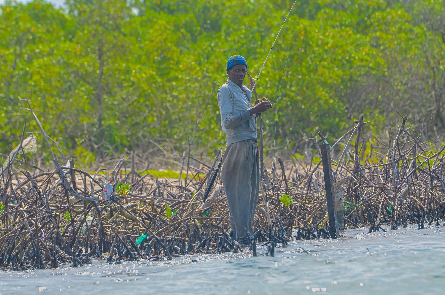 Woman standing in shallow water among mangrove roots in a tropical coastal wetland environment.