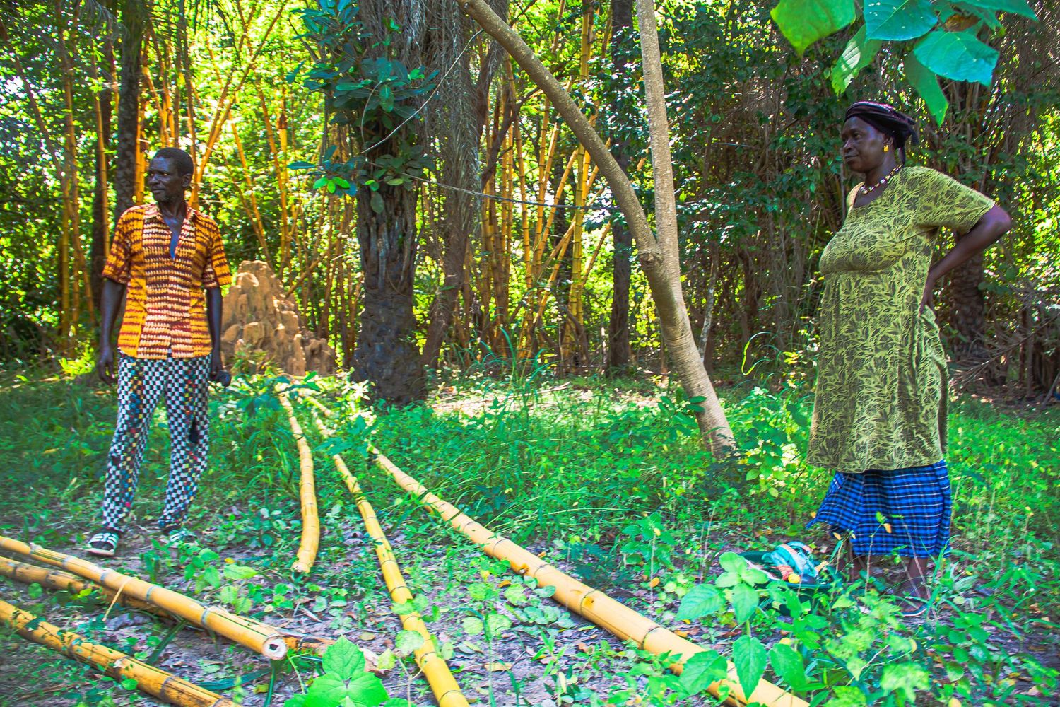 Two African women standing among bamboo poles in a lush green forest.