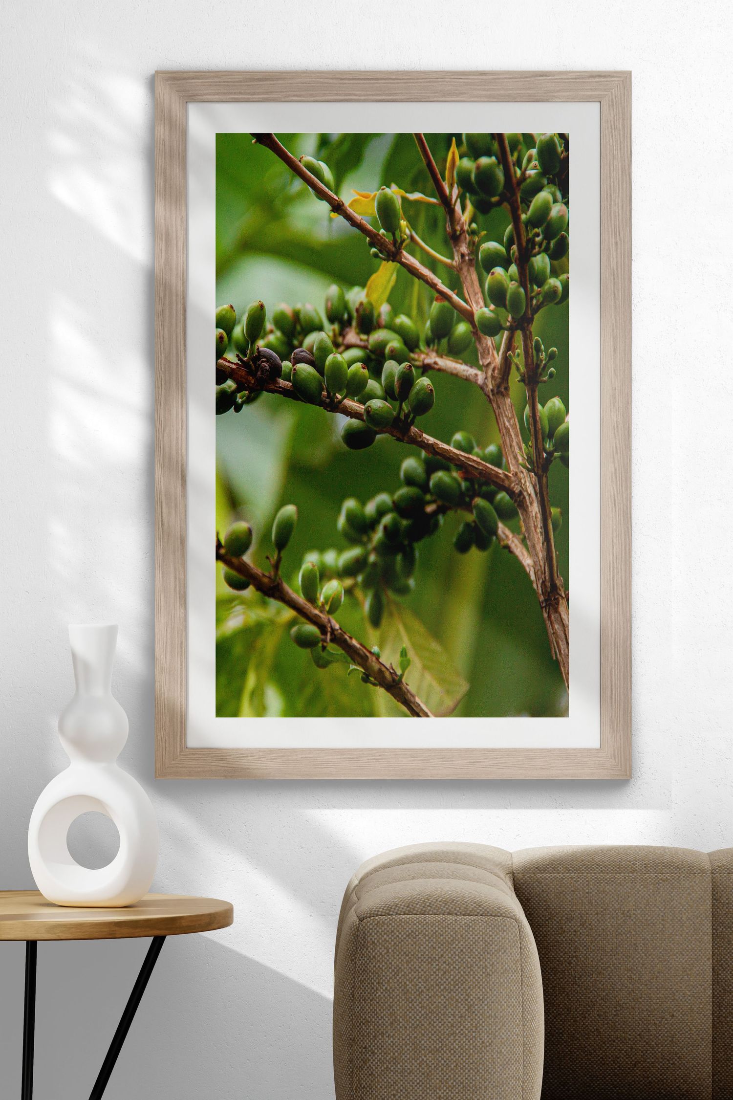 Framed botanical print of green coffee berries on branches, displayed in natural wood frame on white wall.