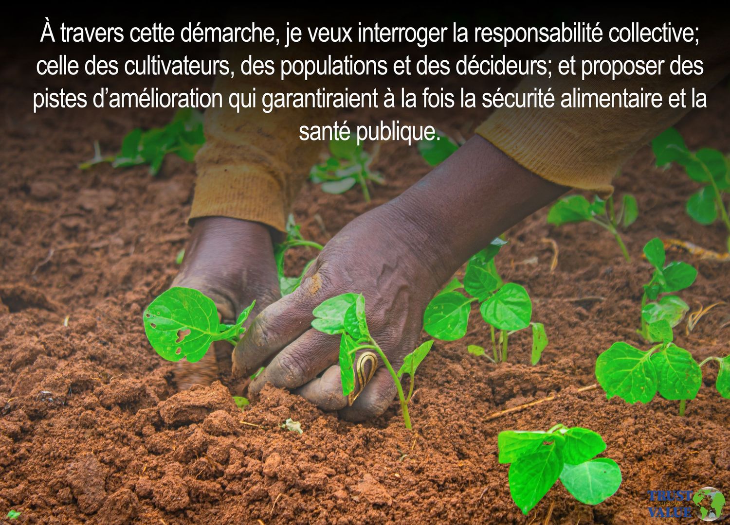 Hands planting green seedlings in soil with French text about food security and public health.