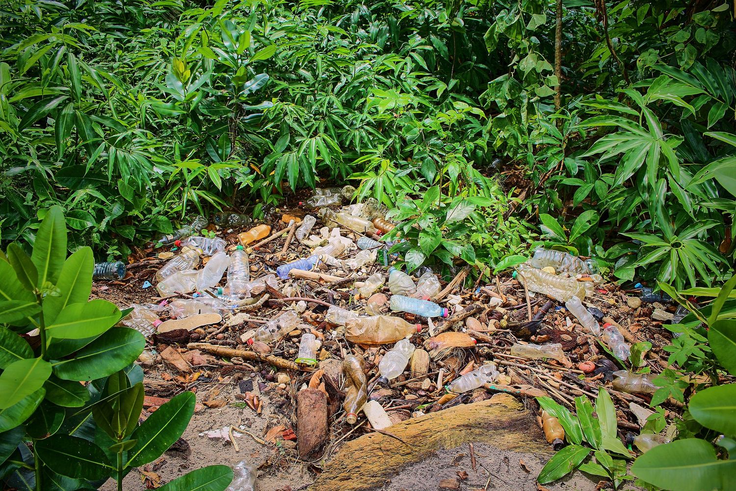 Pile of broken tiles and debris littering the ground in a tropical jungle setting.