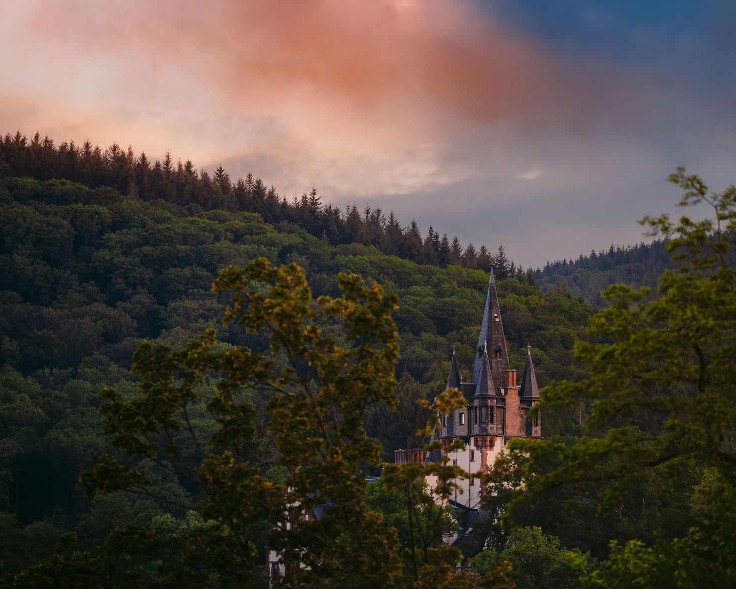 Historic Königstein castle keep nestled in lush green forest mountain hills twilight landscape photography Germany art print.