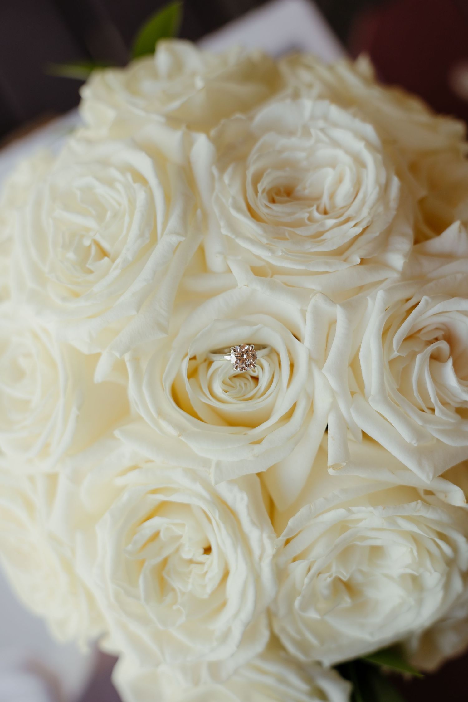 White rose bridal bouquet with diamond engagement ring nestled in the center bloom.