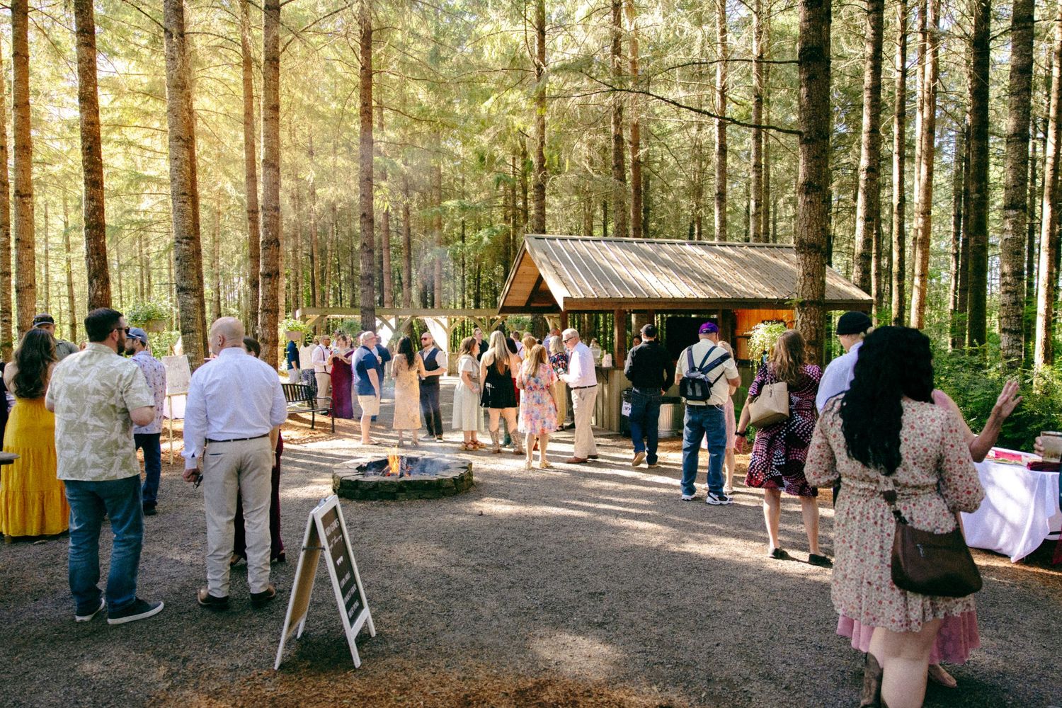 Wedding guests mingle outdoors among tall pine trees near a rustic wooden pavilion bar at a forest reception.