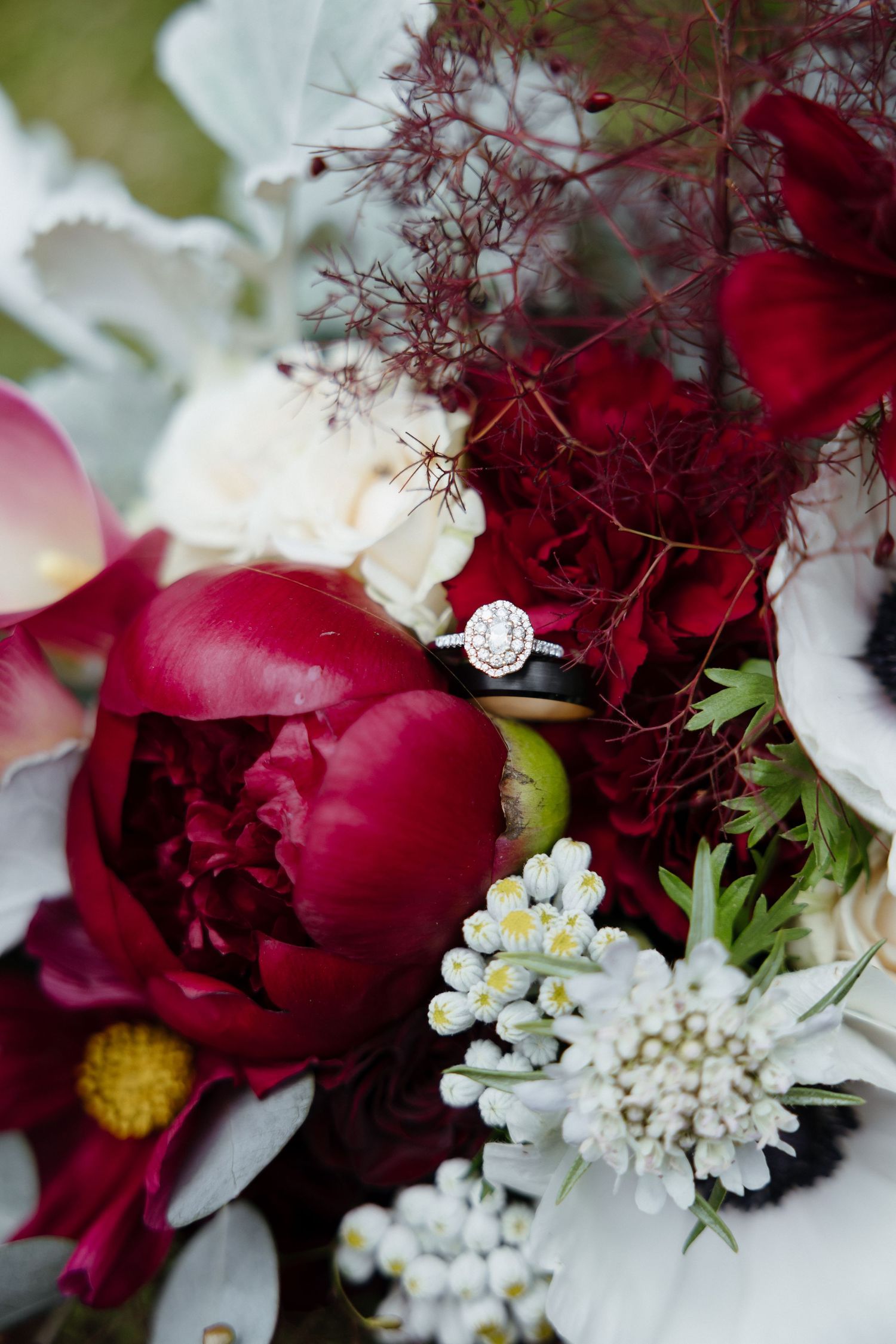 Diamond halo engagement ring nestled in vibrant burgundy peony and white anemone wedding bouquet.