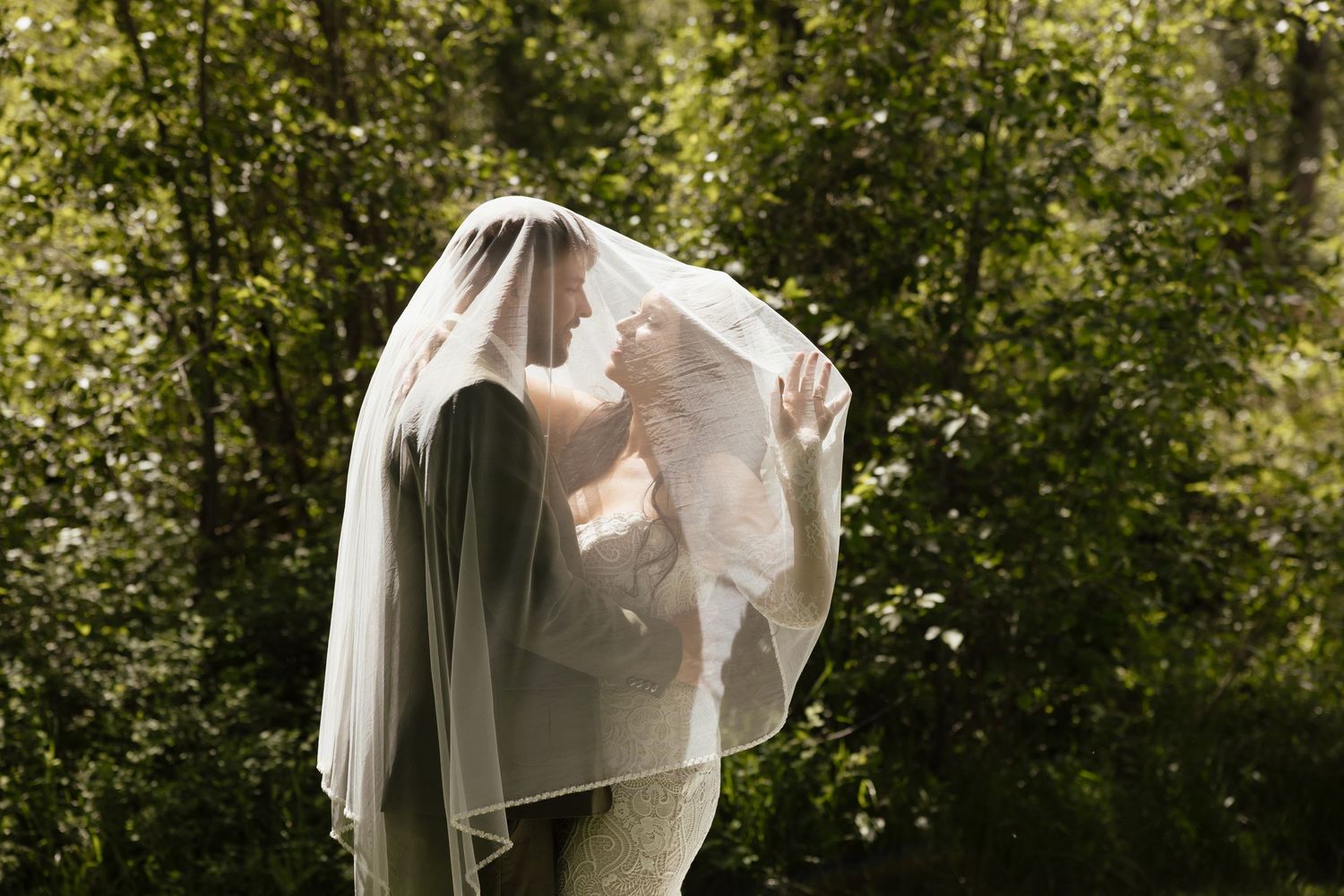 Bride and groom sharing intimate kiss hidden beneath flowing white veil in green forest setting.
