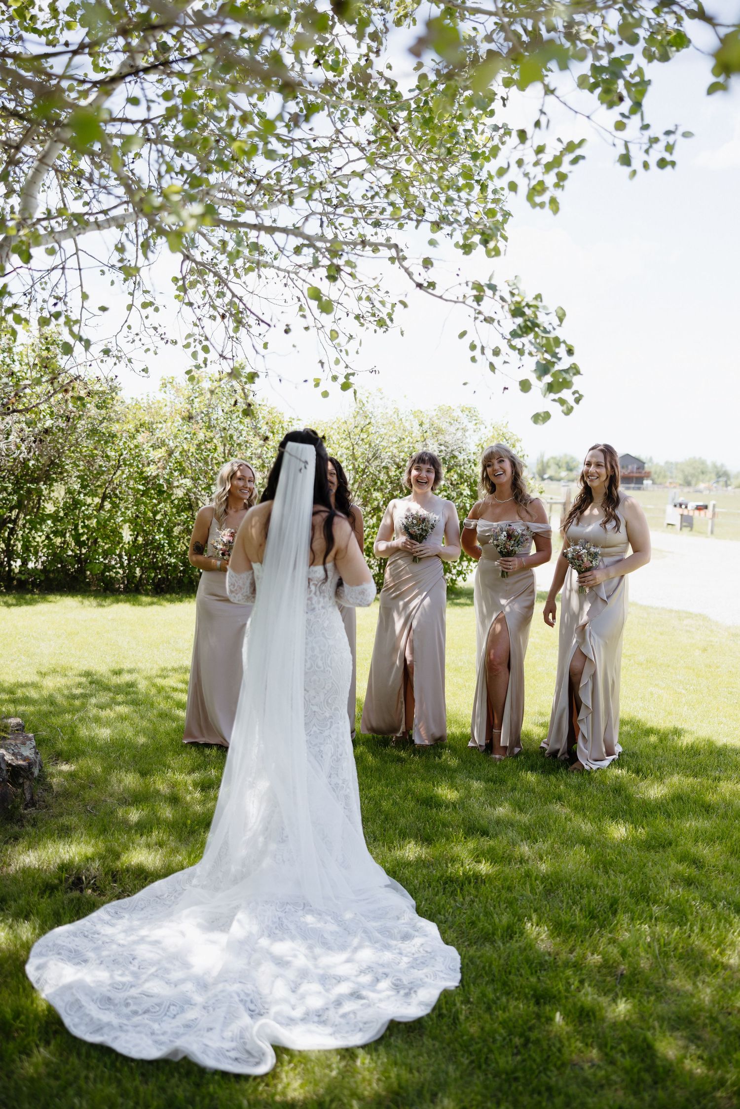 Bride in lace gown with cathedral veil stands with bridesmaids in champagne dresses under blooming tree.
