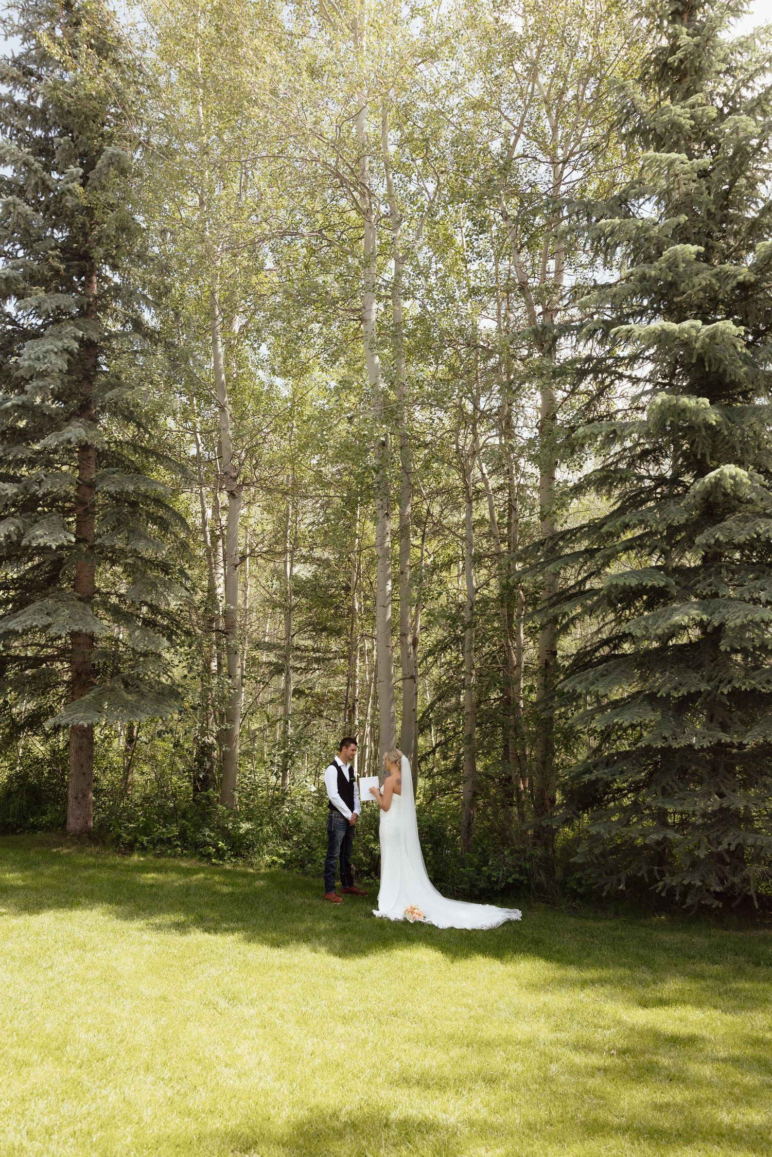 Bride and groom sharing intimate moment together surrounded by tall evergreen trees on wedding day.