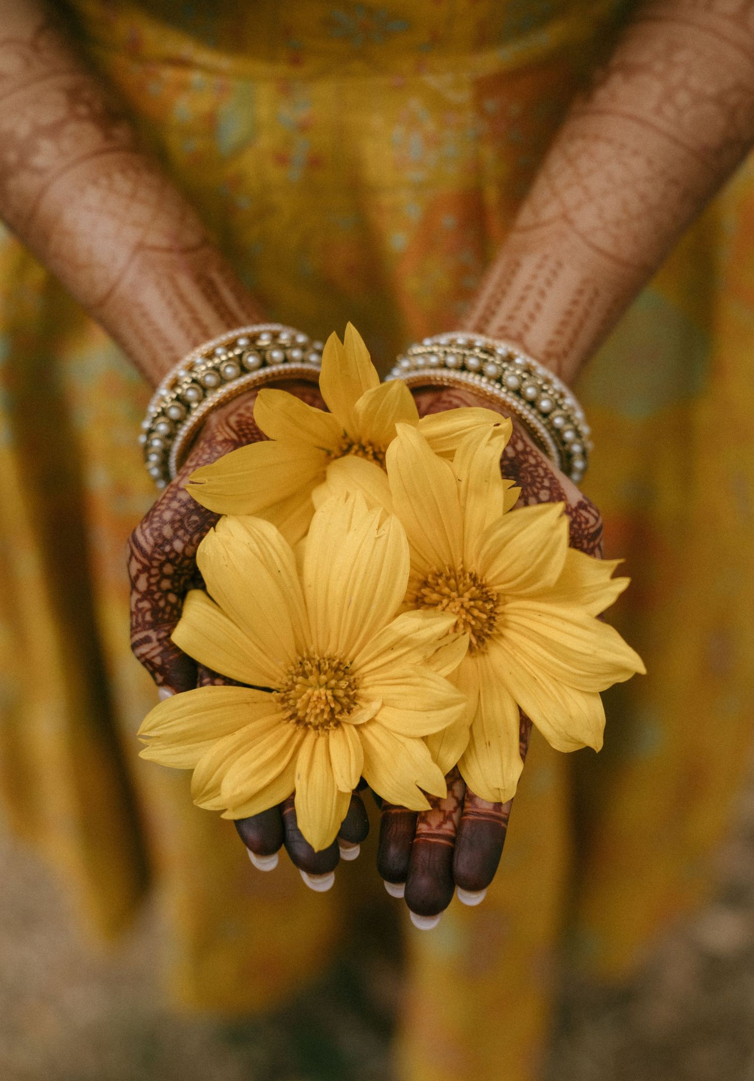Bride with henna mehndi and bangles holding yellow daisy flowers in cupped hands, wearing gold sari.