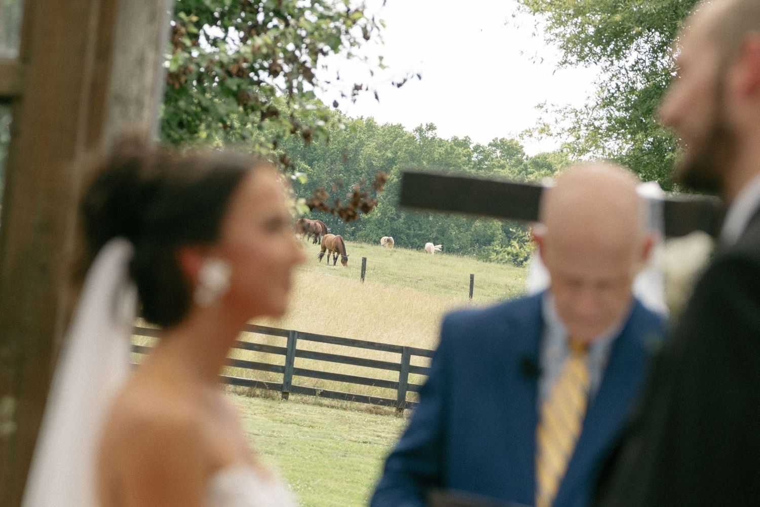 Outdoor wedding ceremony with bride and groom near a wooden fence, horses grazing in a lush green pasture in the background.
