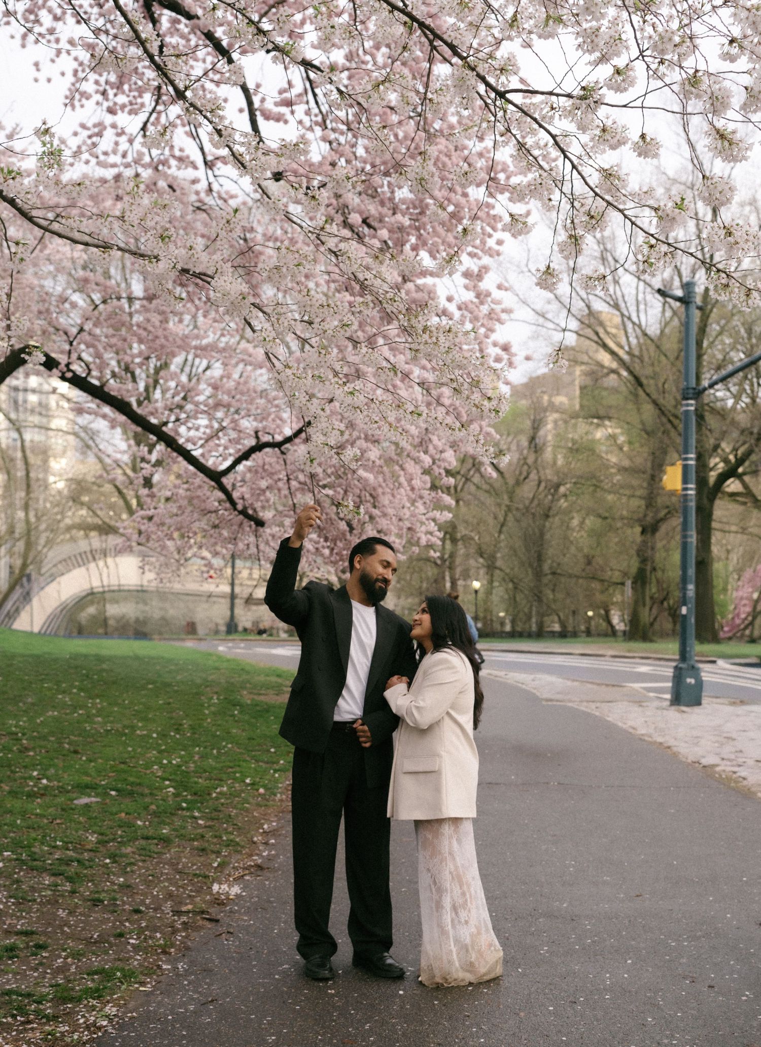 Couple standing under blooming cherry blossom trees in a park, man pointing up at pink flowers.