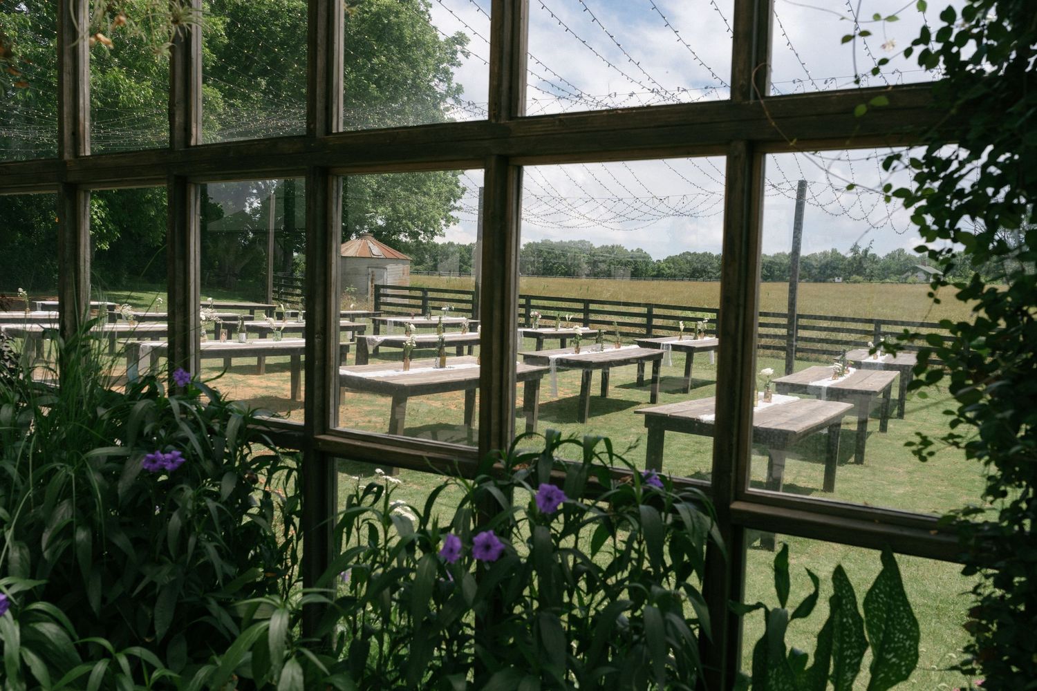 Outdoor dining area with wooden picnic tables on grass, viewed through a greenhouse window with purple flowers.