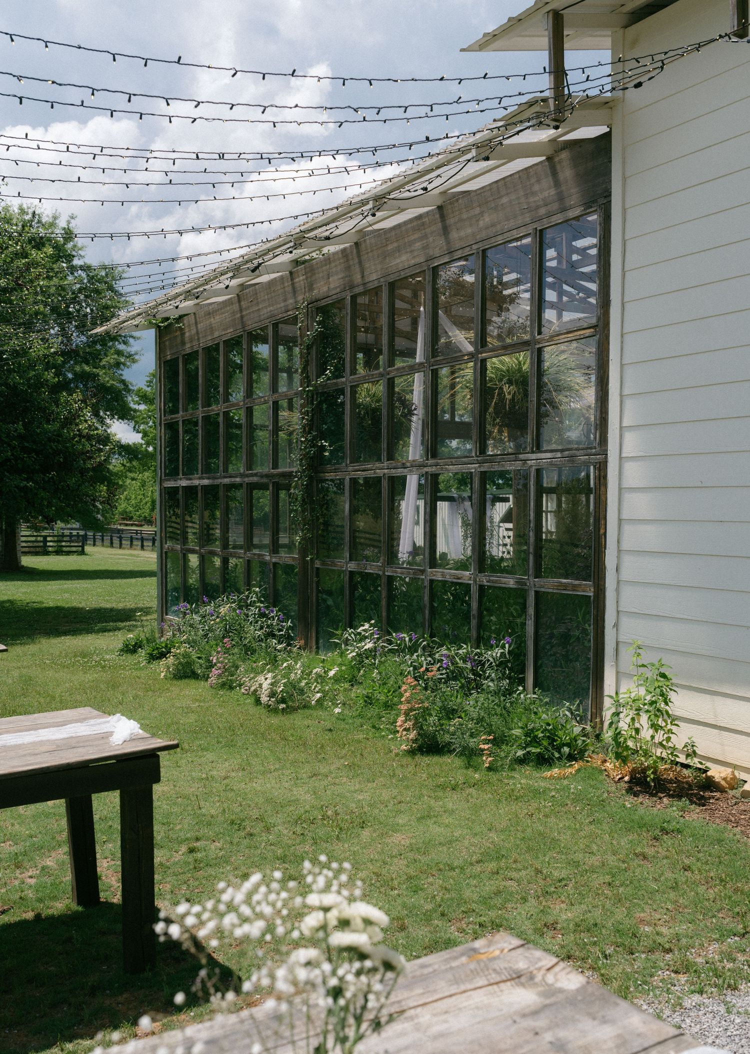 Rustic greenhouse with large glass windows attached to a white farmhouse, surrounded by lush greenery and string lights overhead.