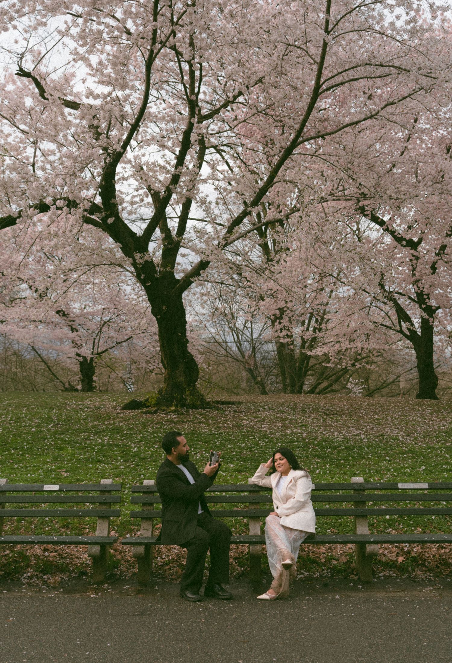 Couple sitting on a park bench under blooming pink cherry blossom trees in spring.