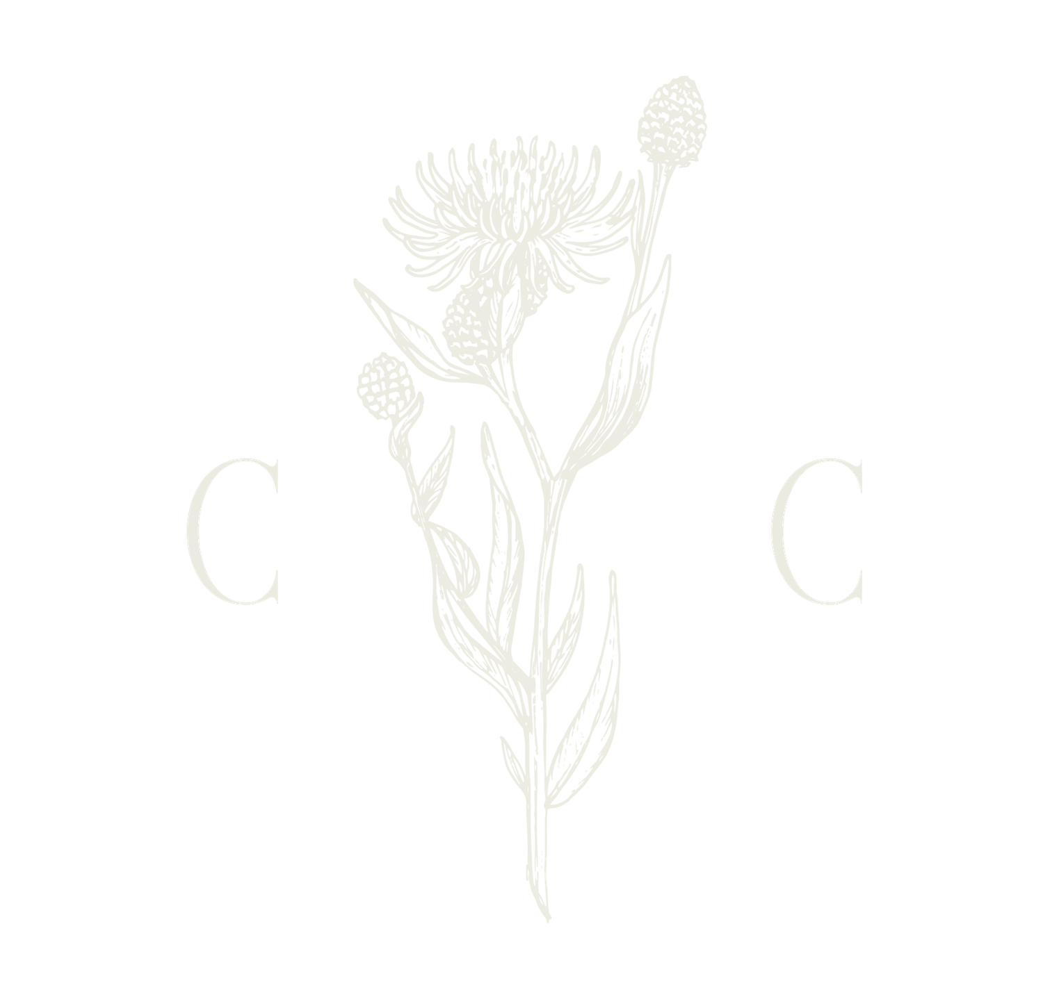 Elegant monogram logo with botanical wildflower illustration and letters C and C in soft sage green.