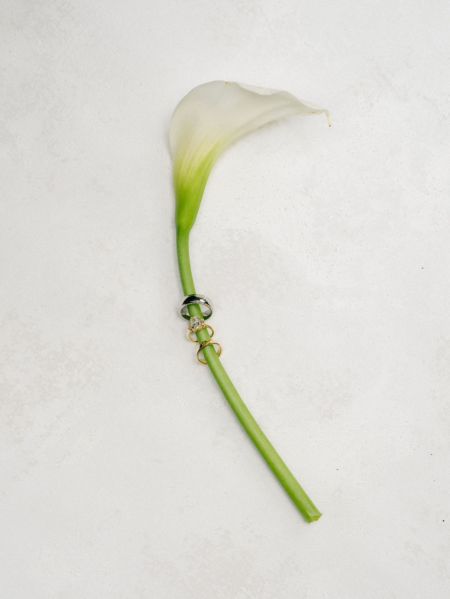 Single white calla lily with green stem adorned with small decorative beads on a white background.