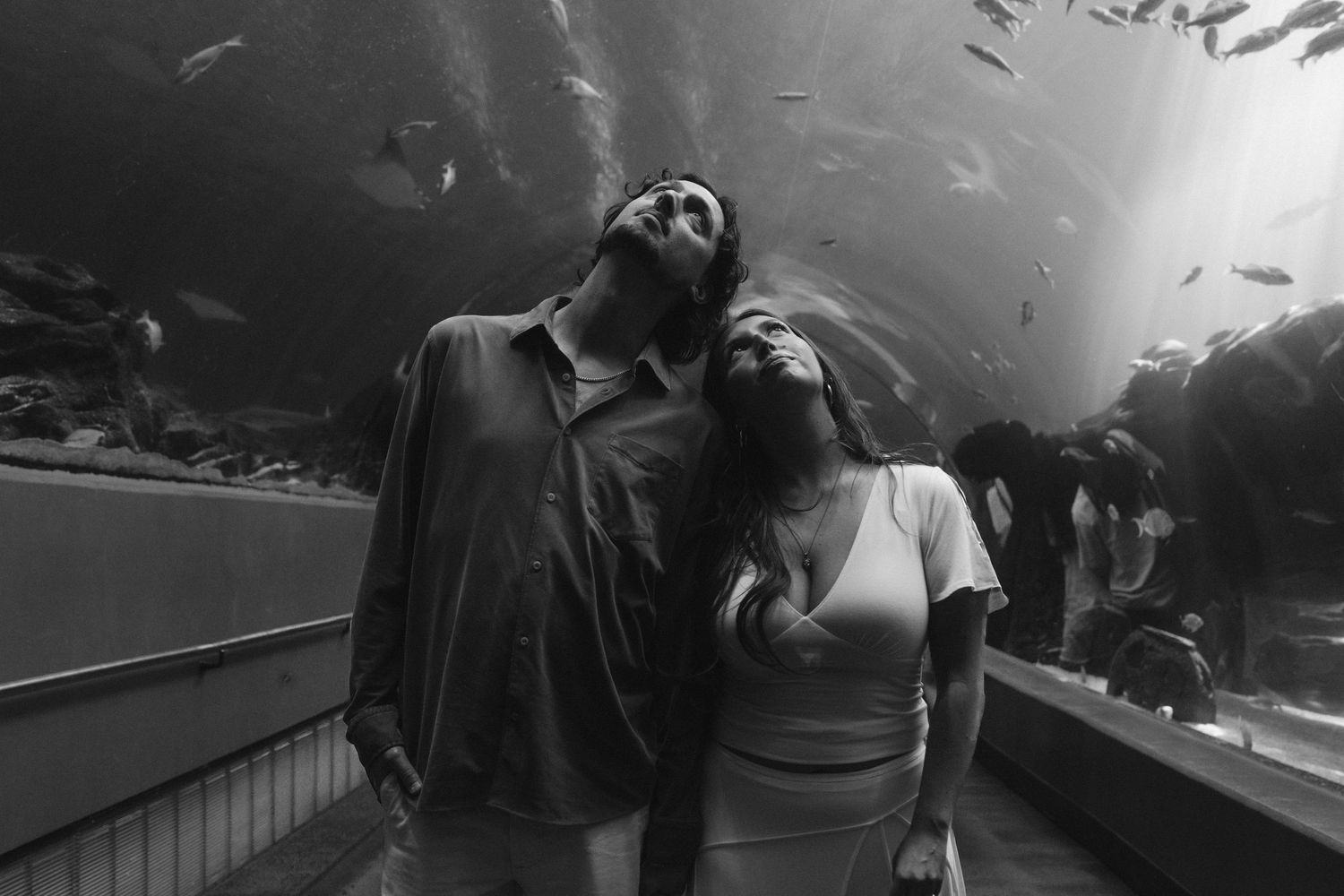 Couple gazing up in wonder at an aquarium exhibit, black and white photo with fish swimming in background.