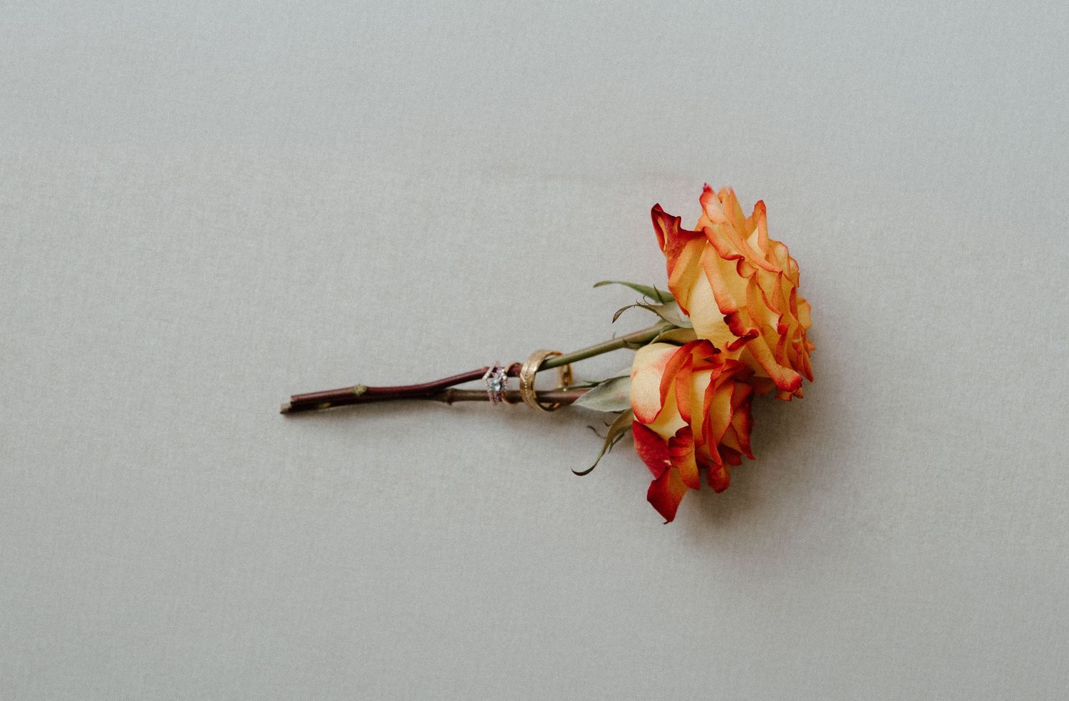 Orange and red dried flower hair pin on a neutral gray background.