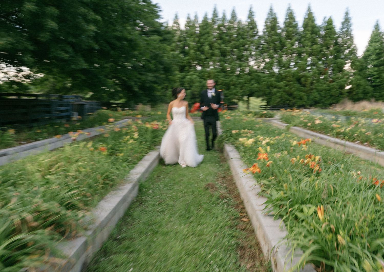 Bride and groom walking through lush garden flower rows at outdoor wedding venue surrounded by tall evergreen trees.