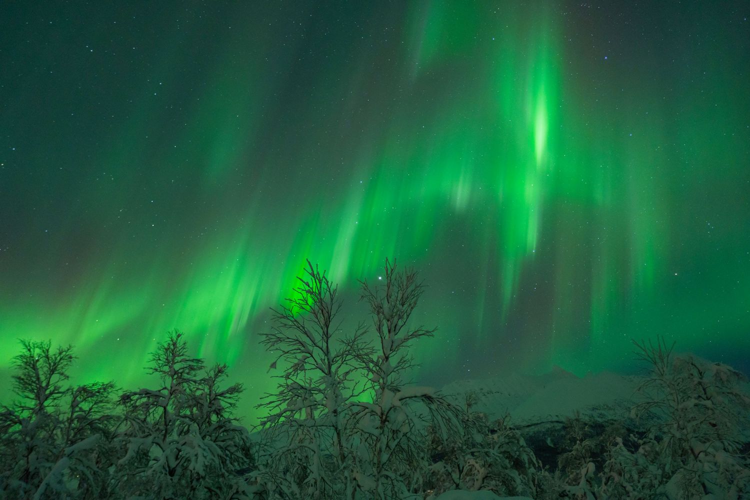 Northern lights.