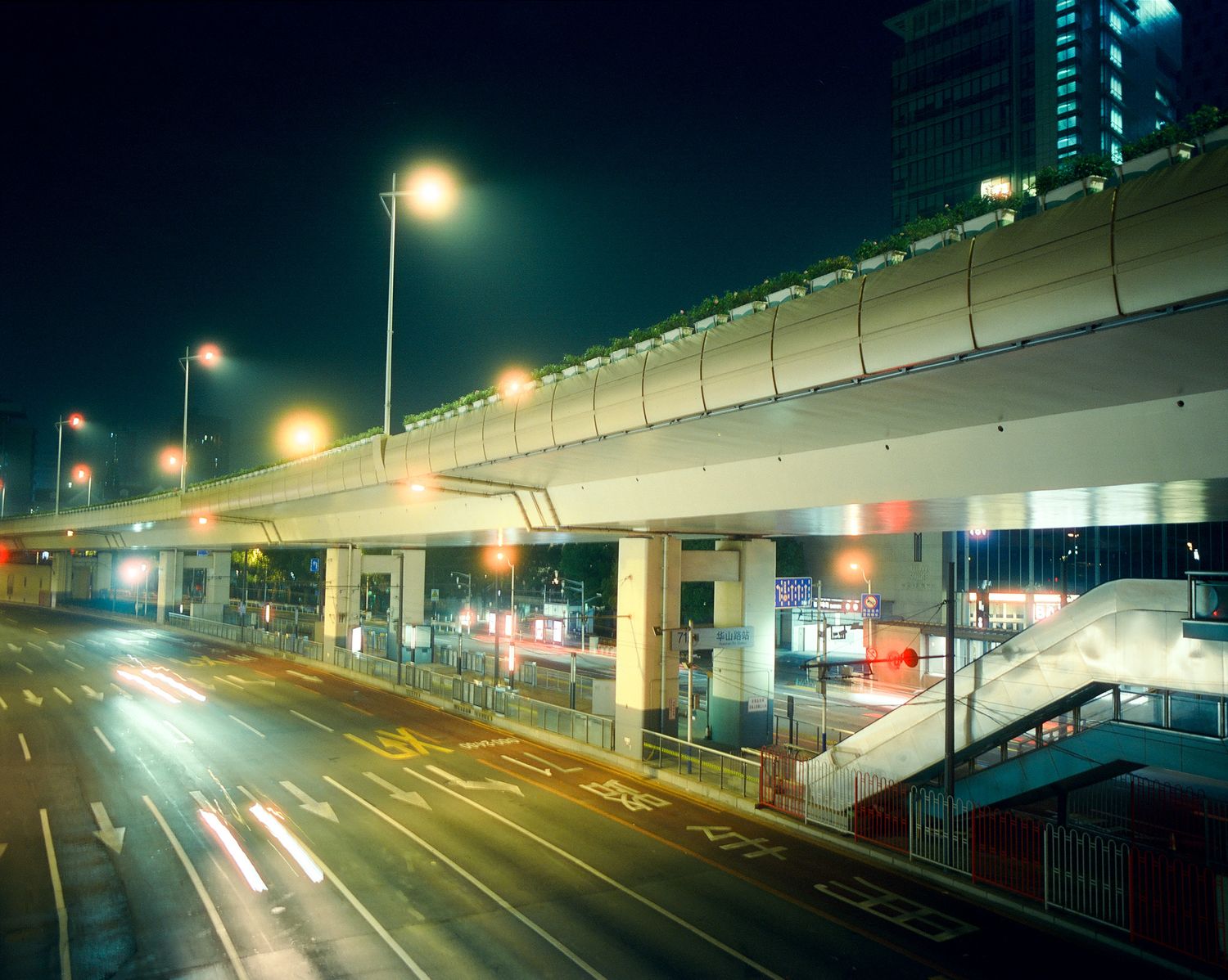 Urban elevated highway and street lights illuminate an empty road at night with modern architecture in the background.