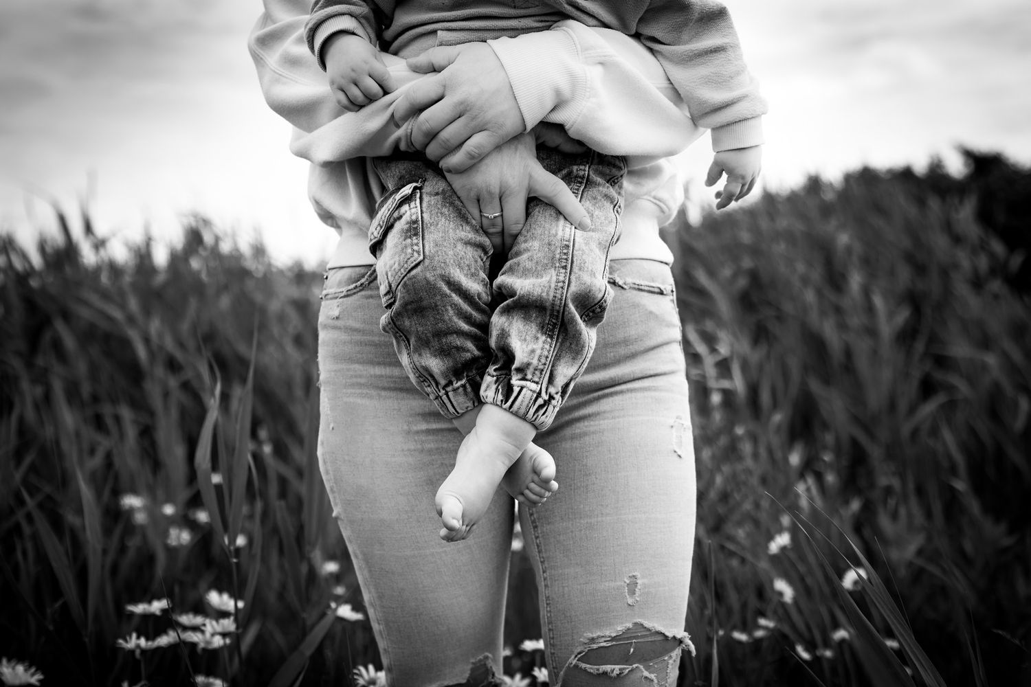 fotoshoot tussen de wilde margrieten in bergen op zoom