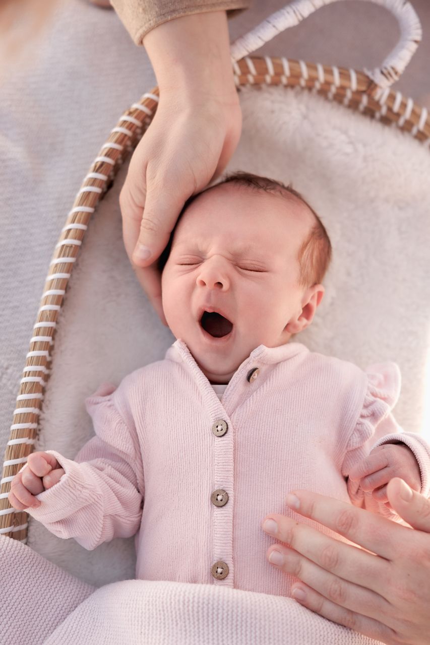Newborn baby in babymandje tijdens newbornshoot buiten in de natuur Brabant