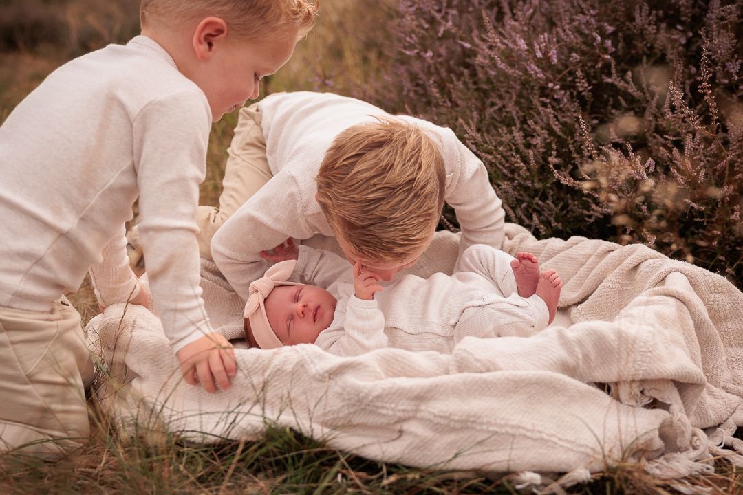 buiten fotoshoot met newborn baby in babymandje, broertjes kijken over het randje
