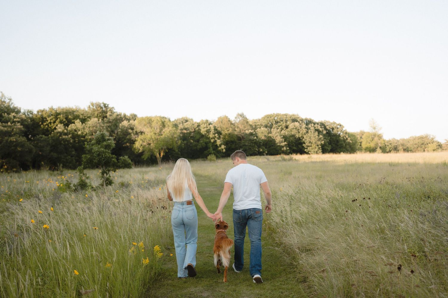 Couple holding hands with golden dog walking through lush green meadow path surrounded by tall grass and trees.