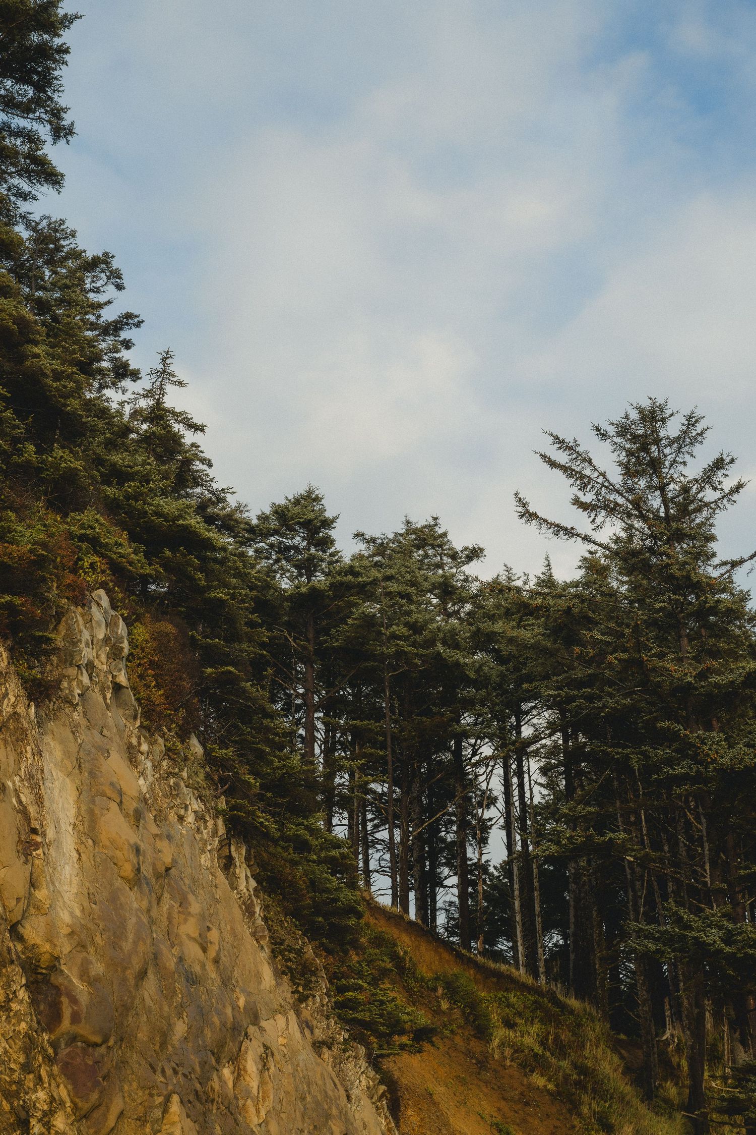 Dramatic coastal cliff with evergreen trees against cloudy sky.