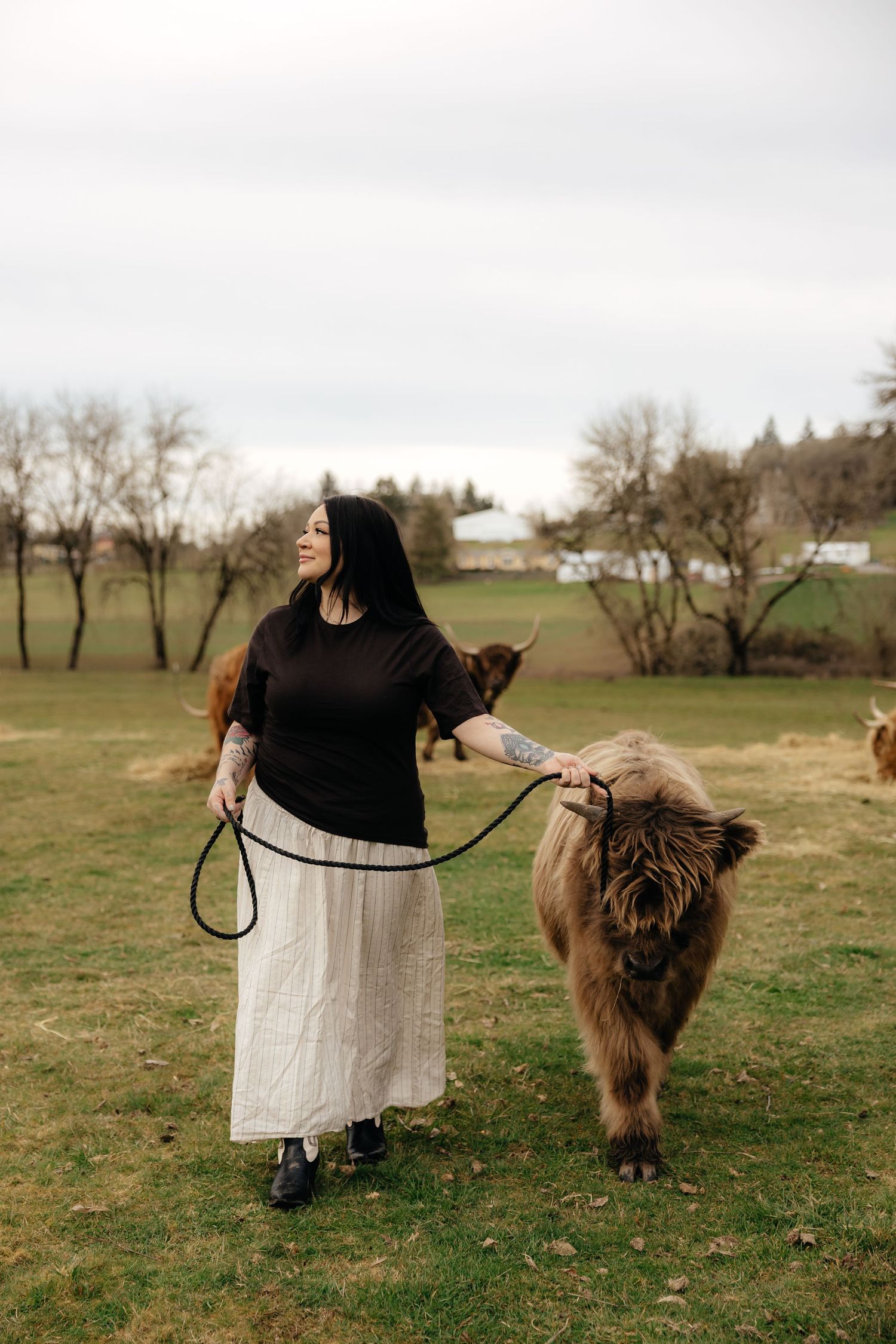 A person in a black top and light skirt walks a large brown Highland cow across a grassy field.
