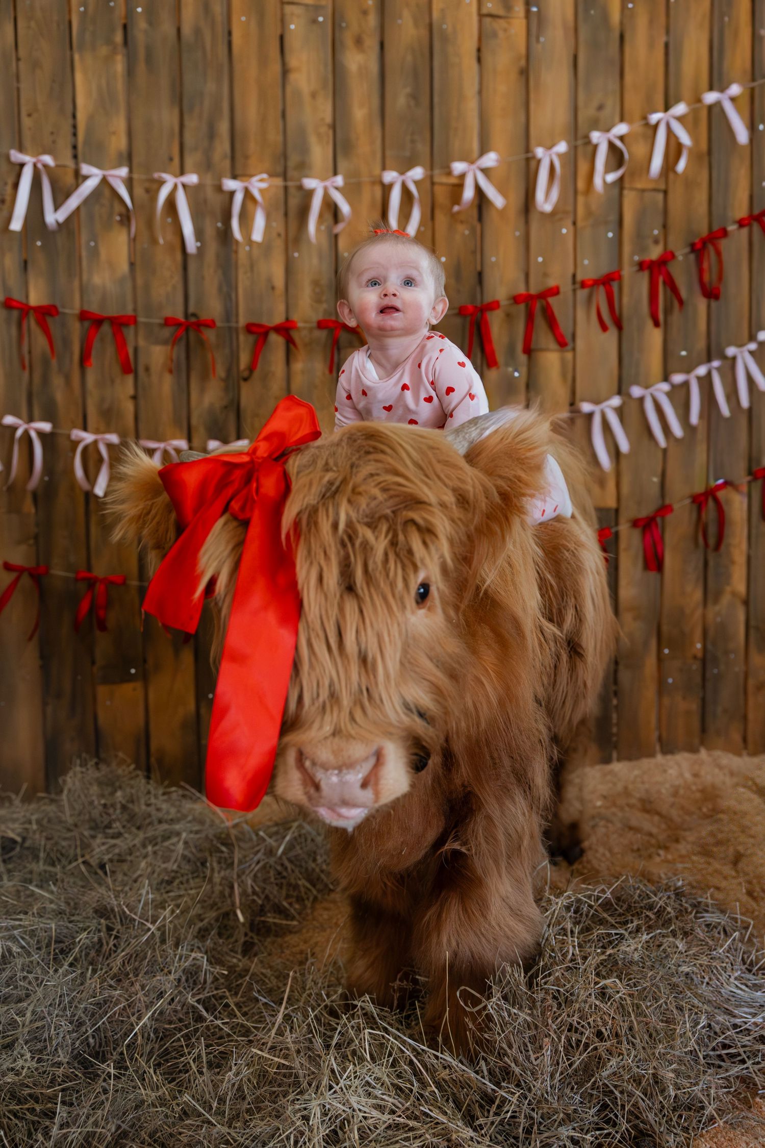 Baby in pink dress sits in hay next to fluffy brown Highland cow with string lights and red bunting decorations.
