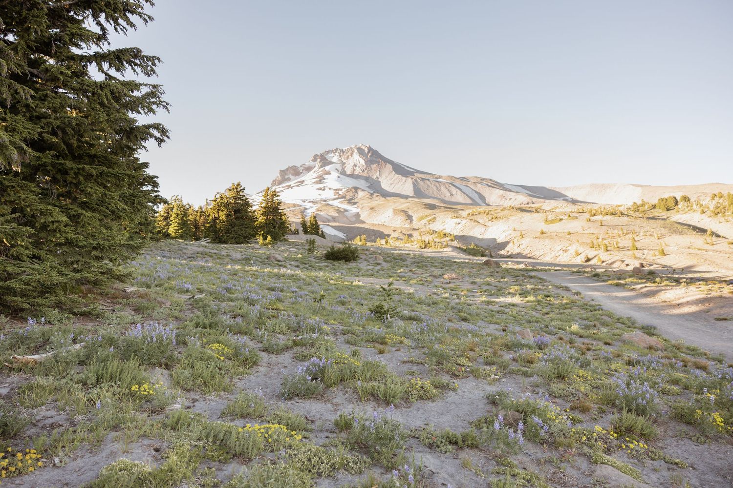 Seven panoramic views of a rugged mountain landscape with snow patches and alpine meadows at sunset.