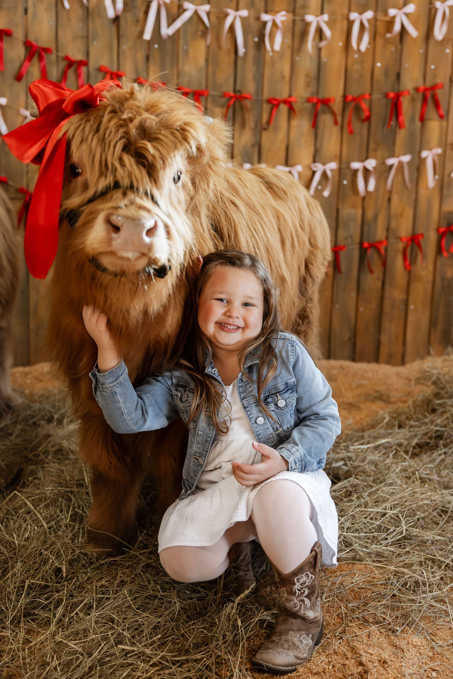 A young child in denim jacket and white dress sits with a Highland cow on hay-covered ground with festive decorations.