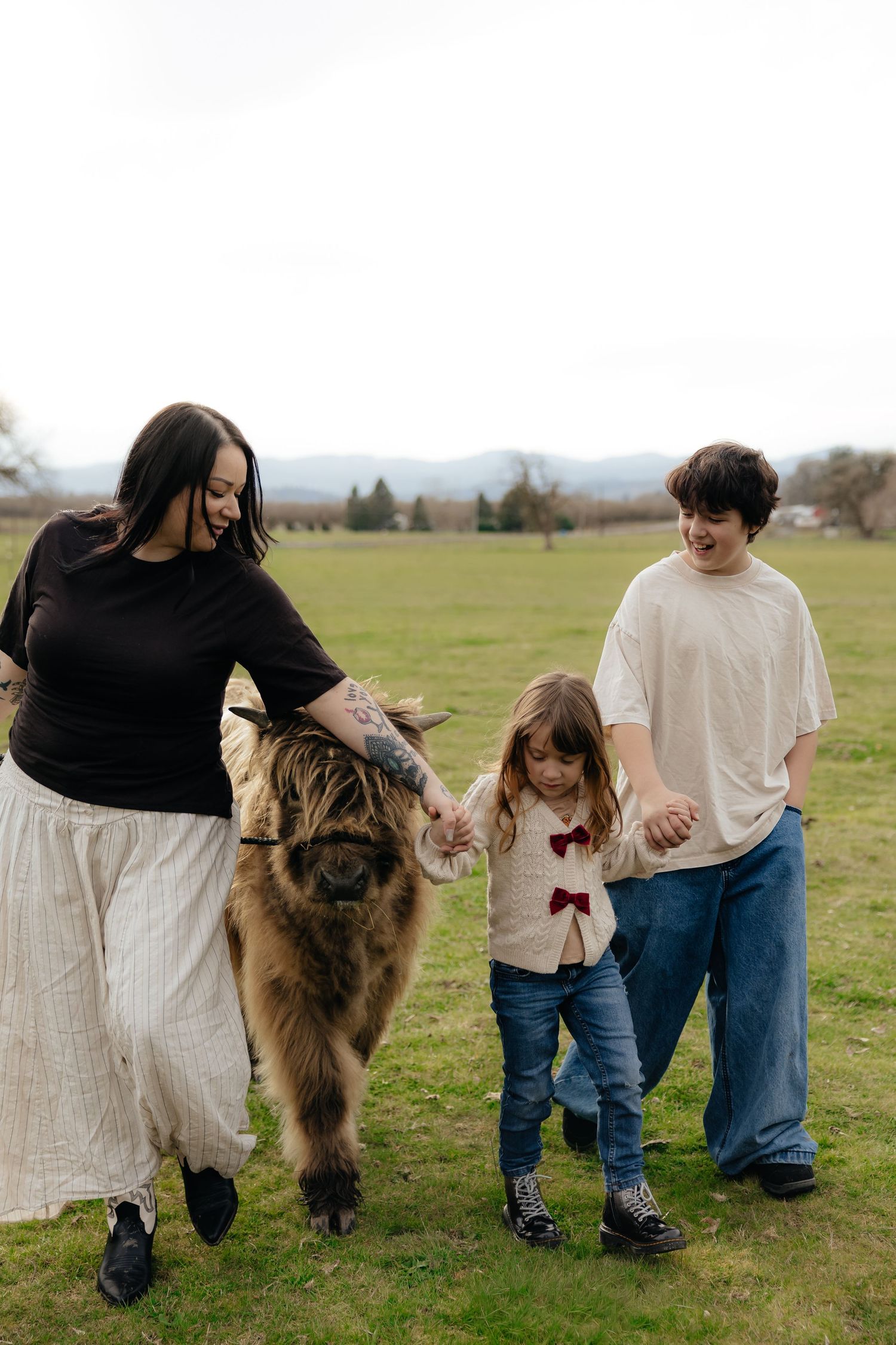A sequence of photos showing a large brown fluffy dog walking alongside people in a grassy field.