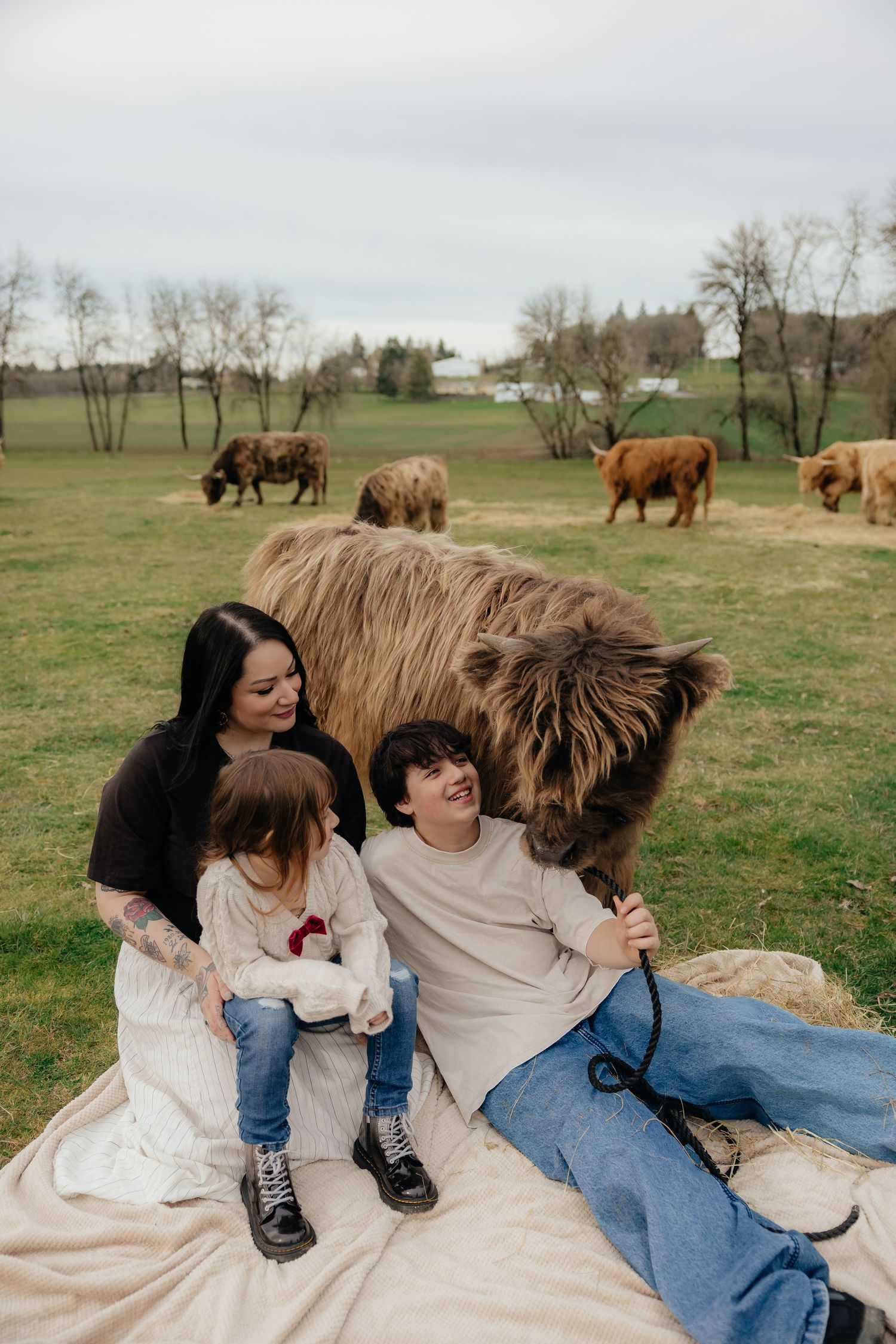 Family sits on blanket in field while Highland cattle graze in background on grassy pasture.