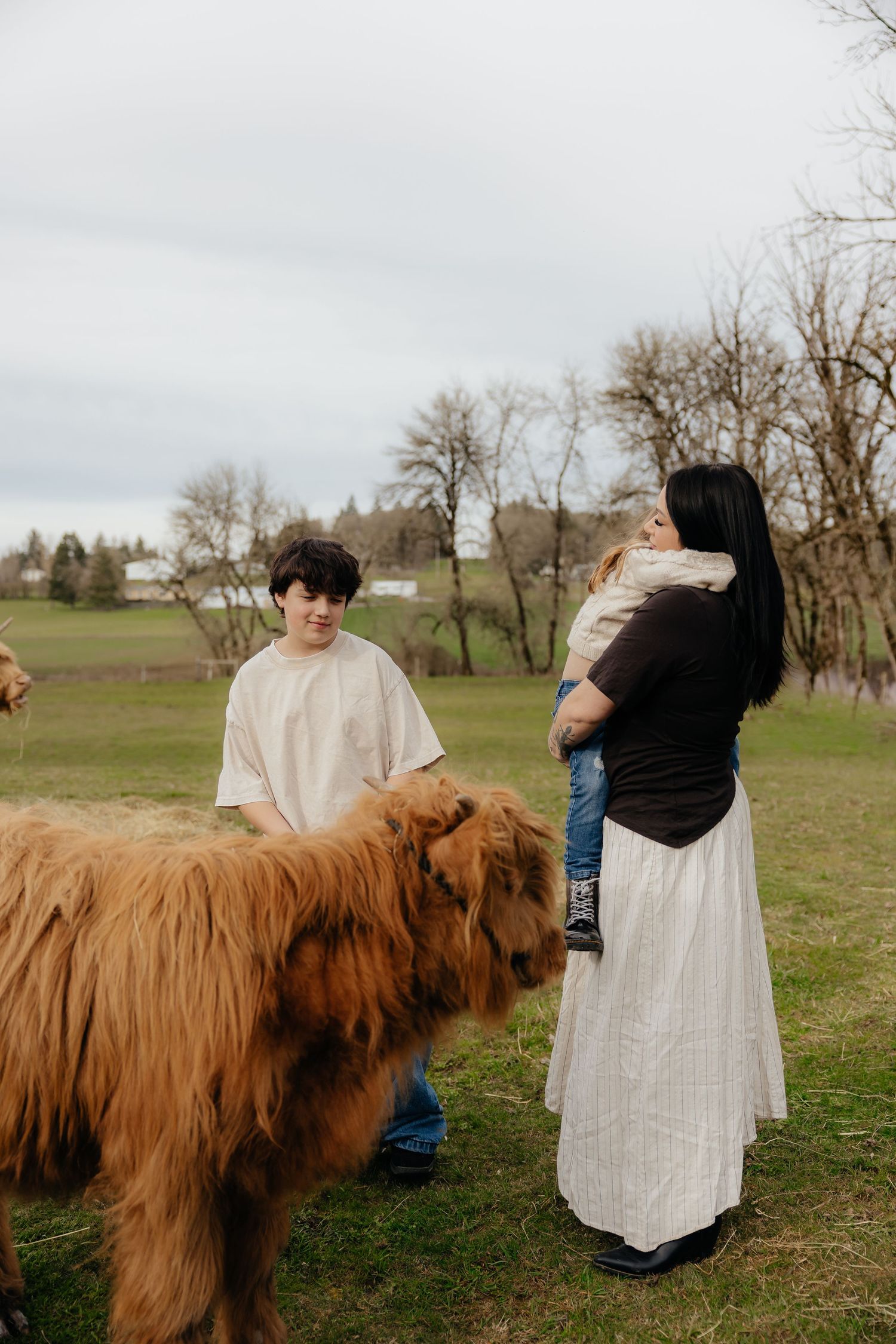 A large brown Highland cow stands in a grassy field on an overcast day while people gather nearby.