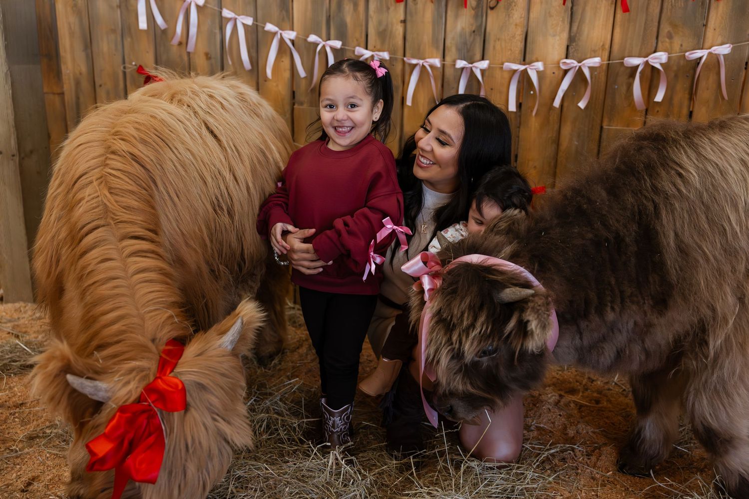 A series of five photos showing ponies being groomed and interacting with visitors at a barn or stable.